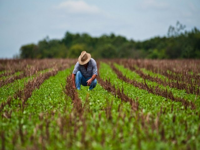 Caapava abre inscries para programa de suporte ao empresrio rural