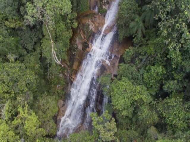 Fundao Florestal probe acesso at Cachoeira da gua Branca, em Ubatuba, por causa das chuvas