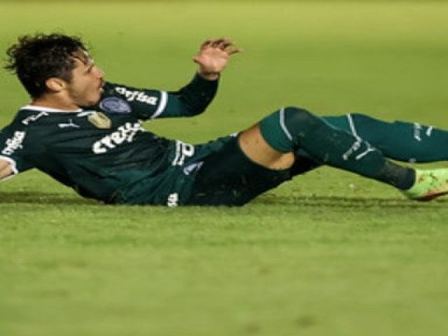 Veiga marca golao e salva atuao ruim do Palmeiras contra o Botafogo