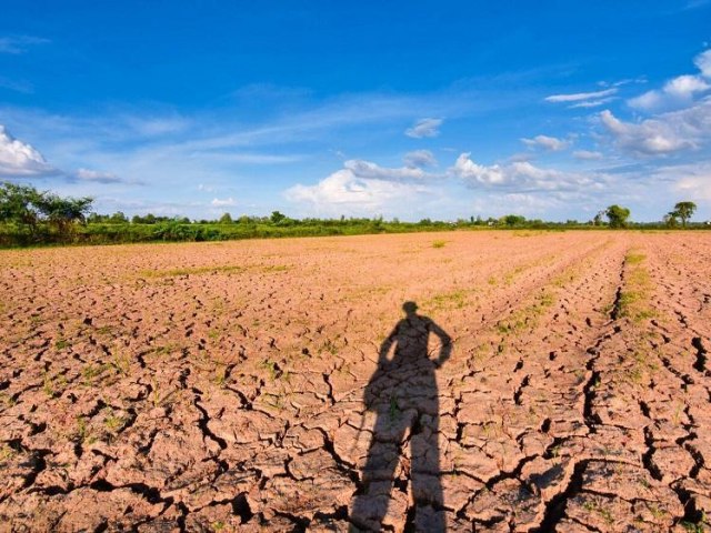 Rio Grande do Sul enfrenta a estiagem mais severa em 4 anos. Perdas repercutem em todos os setores do agro gacho