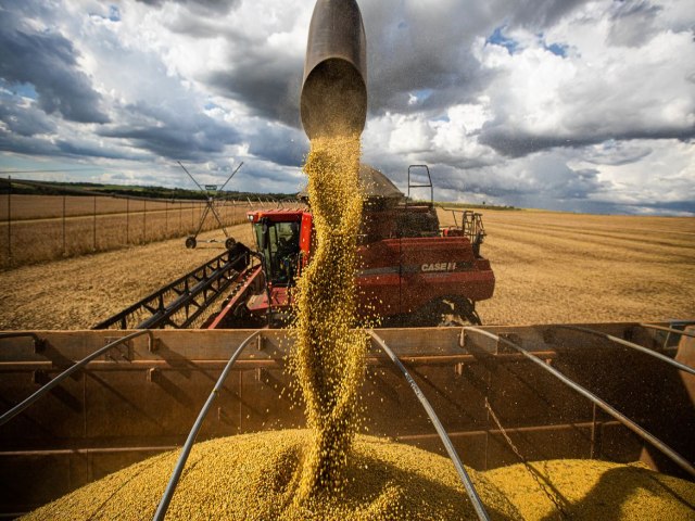 Produtores devem ficar atentos ao contrato futuro