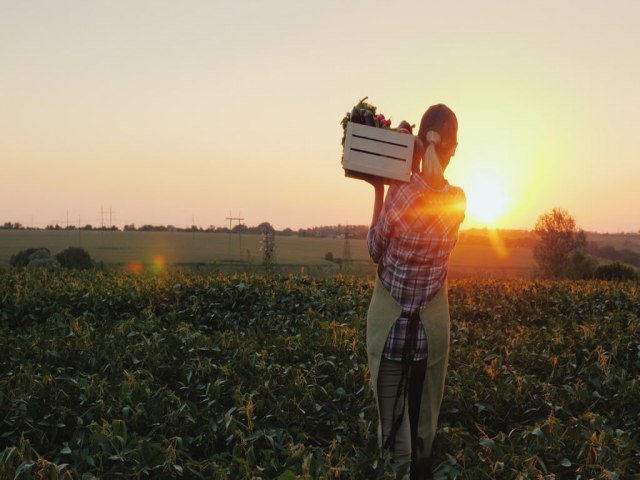 Paralizao do financiamento agrcola chega nos agricultores