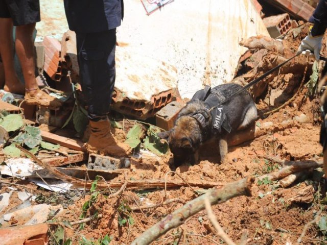 Com a ajuda de ces farejadores novos corpos so encontrados, sobe para 46 o total de bitos no Litoral