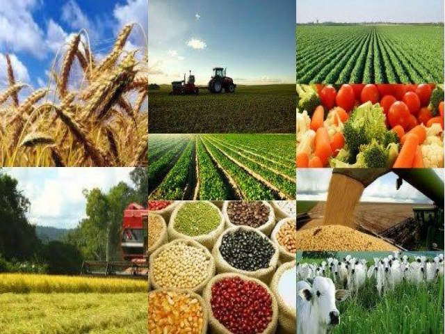 Exportaes de produtos do agronegcio registram US$ 9,9 bi