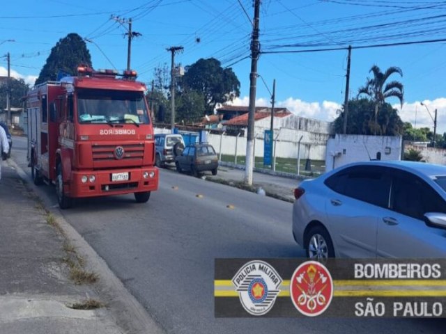 Ataque de abelhas fere mulher e mata cachorro em Caraguatatuba