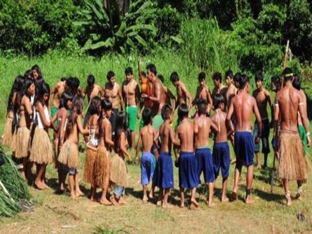 Acesso  aldeia Guarani, isolada h trs anos em Ubatuba,  liberado pela Justia