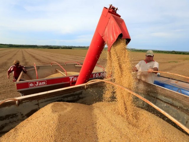 Safras & Mercado eleva projeo da colheita de soja para 155 milhes de toneladas