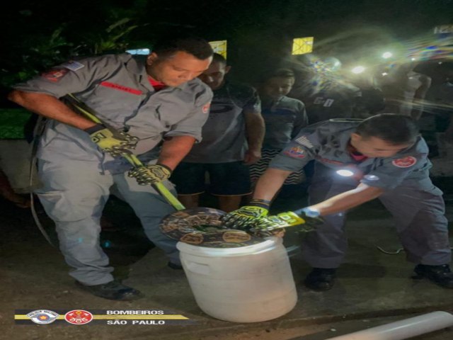 Jiboia de aproximadamente 3 metros  capturada na rua pelo Corpo de Bombeiros