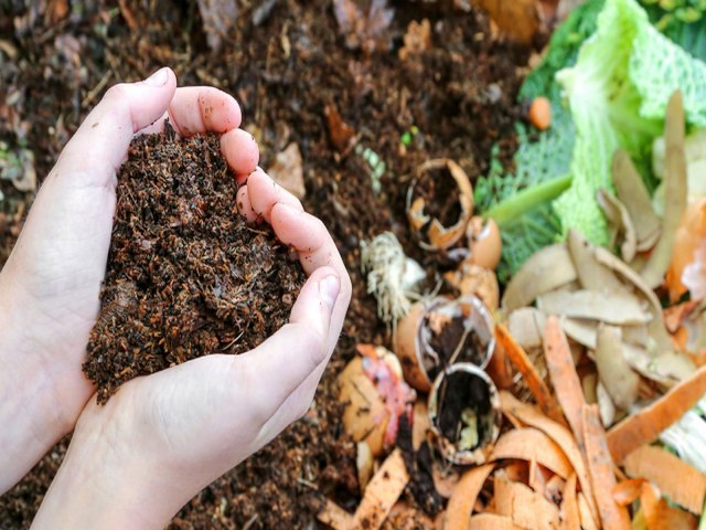 Meio Ambiente de Pindamonhangaba lana projeto de Compostagem