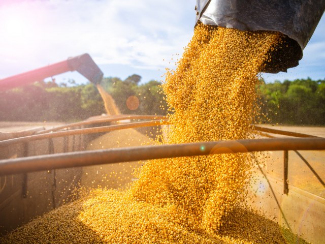 Fiagro projeta maior rentabilidade com a soja