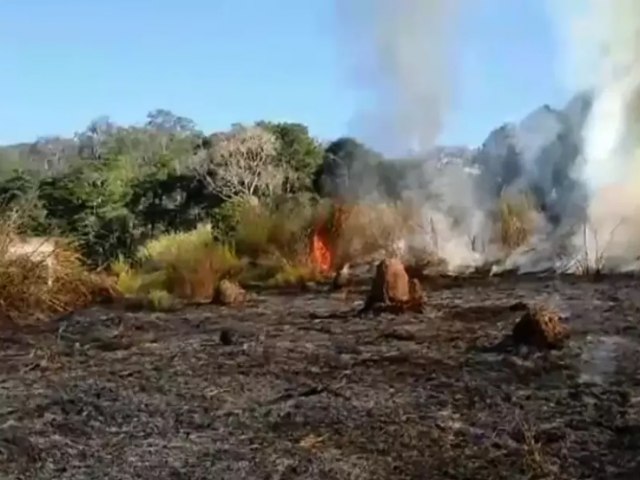 Incndio queima quase 20 mil m de vegetao na regio sudoeste de So Jos