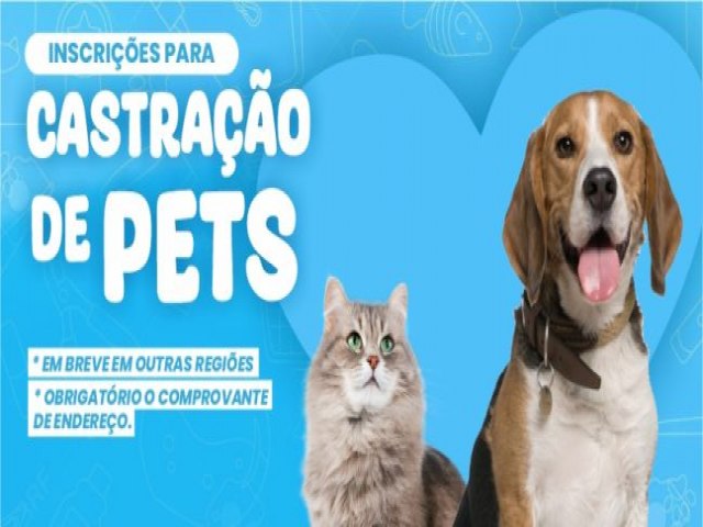 Trememb inicia inscrio para o servio de esterilizao volante em ces e gatos da regio da Flor do Vale