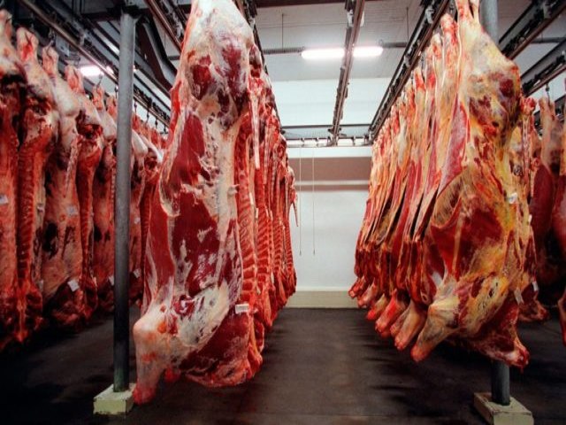 Exportaes de carne bovina devem retomar