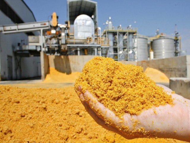 Brasil projeta alta na exportao de farelo de milho, coproduto do etanol