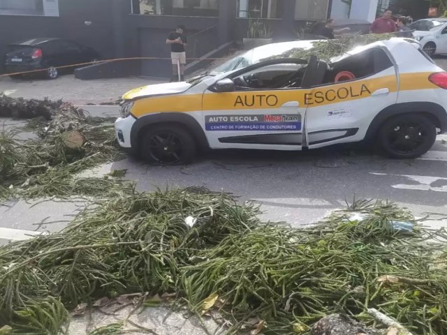 rvore cai em cima de carro de autoescola e atinge jovem em So Jos