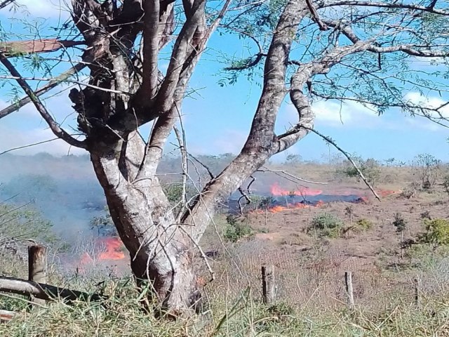 rea aproximada a 55 campos de futebol  atingida por queimada em Taubat