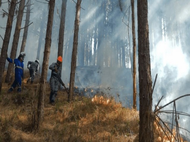 Defesa Civil e Corpo de Bombeiros de SP promovem treinamentos gratuitos em So Bento do Sapuca