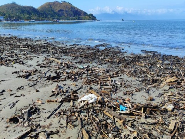 Boletim do Lixo revela que, em dois meses, mais de 680 quilos de lixo foram retirados das praias do litoral norte