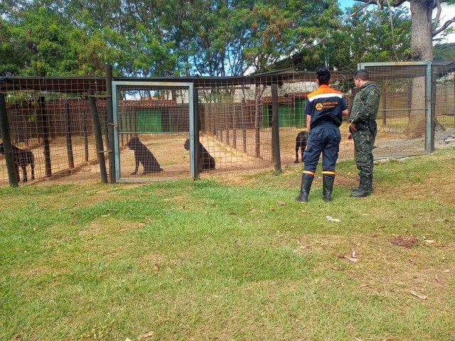 Polcia Ambiental e Defesa Animal prendem em Pinda responsvel por maus tratos a ces no Jardim Regina