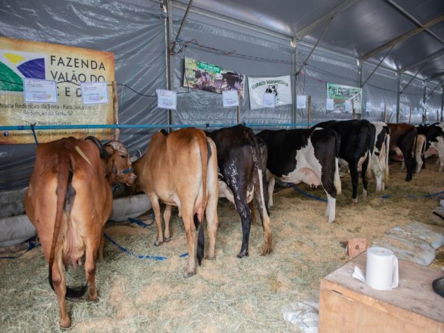 ExpoPinda  destaque na regio neste final de semana