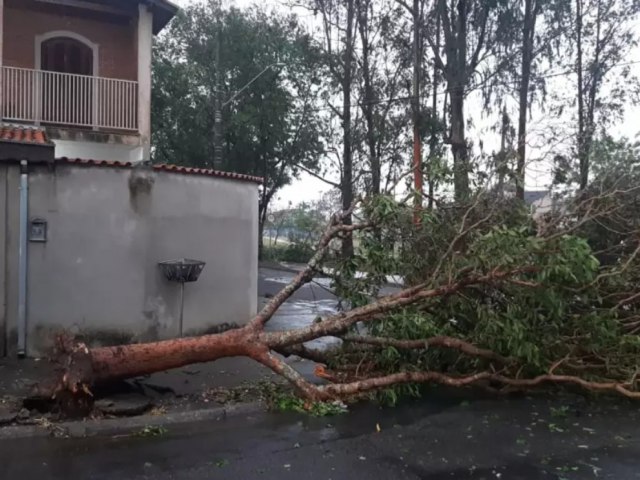 Moradores de So Jos ainda sofrem com falta de gua e de energia aps temporal de ontem