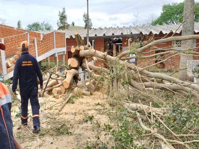 Defesa Civil de Pinda age na remoo de rvores e liberao de vias; Assistncia presta atendimento s famlias