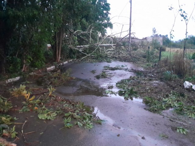 Moradores da regio do Lago Azul e outros bairros de Pinda sofrem com falta de energia e rvores nas ruas depois da forte chuva 