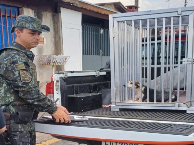 Defesa Animal de Pinda registra caso de maus-tratos a animais no bairro do Beta