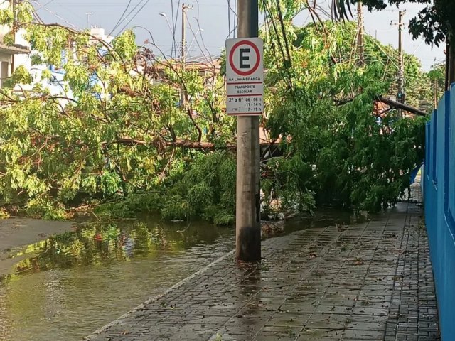 Chuva e vento forte causam estragos na zona sul de So Jos