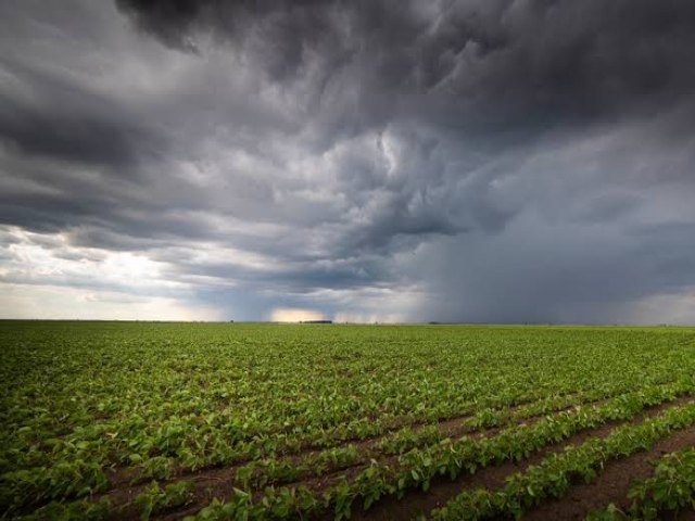 El Nio pode impactar a agricultura e encarecer alimentos