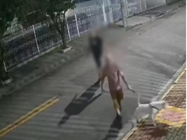 Tutor do bull terrier que atacou Fox pode pegar at 5 anos de priso por crueldade