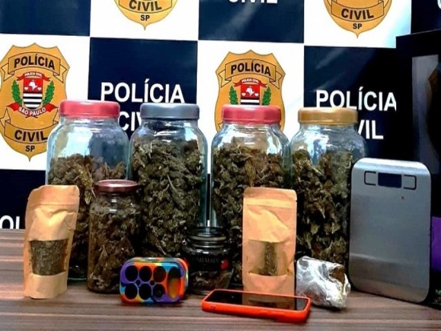 Polcia Civil de Ilhabela prende foragido do Mato Grosso do Sul com super maconha avaliada em R$ 75 mil