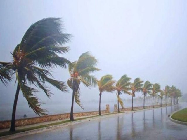 Defesa Civil emite alerta de ventos de at 74 km/h no litoral paulista