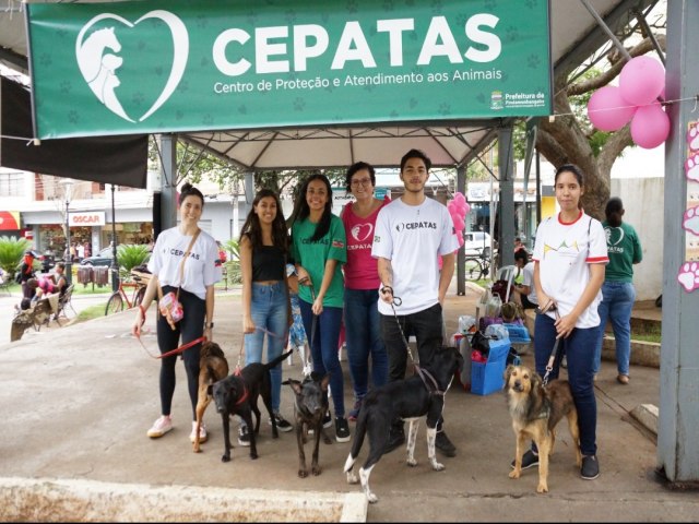 Pinda realiza ExpoPet no sbado na praa do Cisas