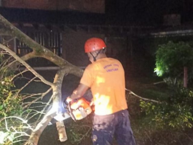 rvores caem sobre carro e casa na regio sul de Ubatuba, neste sbado