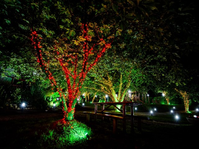 Parque da Cerejeira em Campos do Jordo promove Natal Iluminado