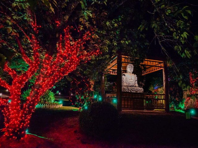 Magia do Natal: Parque da Cerejeira est na rota das grandes atraes temticas em Campos do Jordo