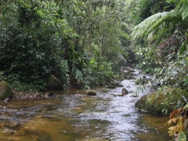 Homem  assassinado com tiros na cabea em trilha do Parque Estadual em Caragu