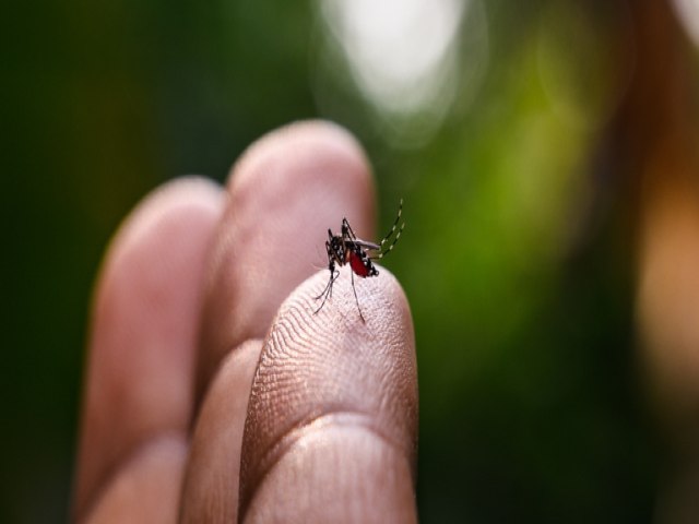 Caapava tem fora-tarefa no combate  Dengue 