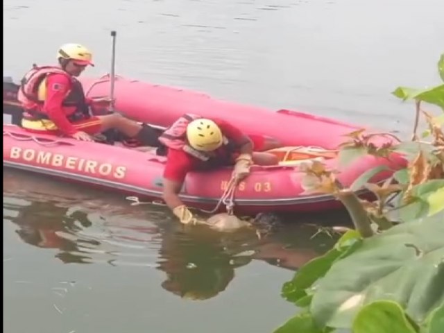 Polcia identifica mulher encontrada morta em rio de Ubatuba