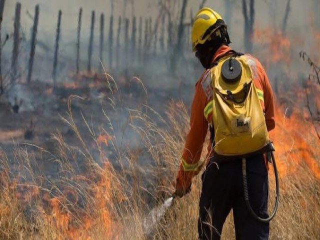 Defesa Civil de Pinda abre vagas para treinamento de Brigada Voluntria de Incndio em vegetao rasteira