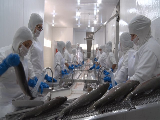 Vendas de chocolates e peixes movimentam o comrcio na semana santa