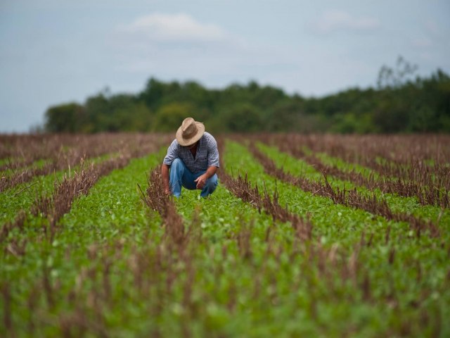 Produtores de 16 estados podero renegociar dvidas do crdito rural