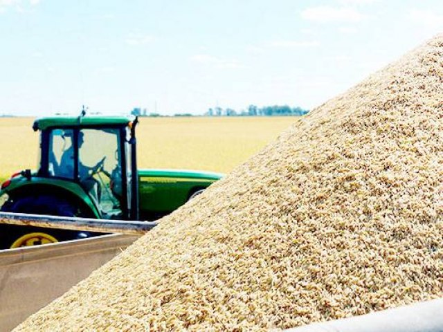 Incertezas climticas impulsionam alta no preo do arroz 