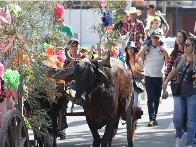 So Joo de Caapava tem shows e carros de boi no fim de semana