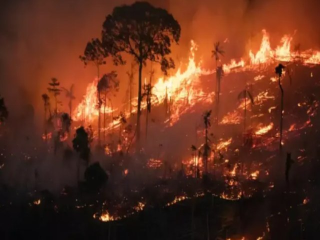 Queimadas no Vale do Paraba Crescem em 2024