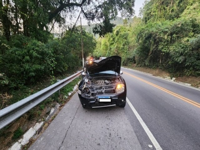 Carro bate em cavalo na Serra das Cigarras na SP-55; 2 acidente em menos de 10 dias