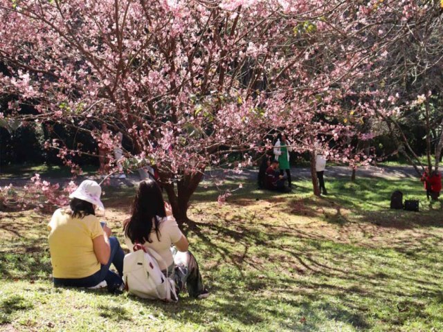 Campos do Jordo recebe o 1 Festeja Campos neste final de semana no Parque da Cerejeira