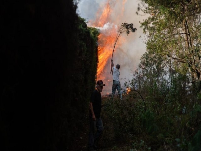 Polcia prende homem por iniciar fogo em vegetao de Campos do Jordo