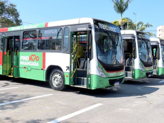 Pinda ter nibus gratuitos no domingo de eleio